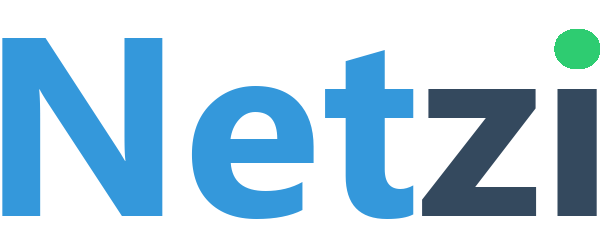 Logo Netzi